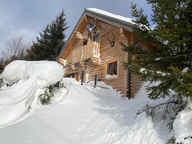 Alpenchalet Grabner Alm Am Praebichl Almhauser Bagian luar foto