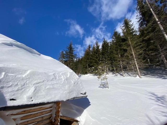 Alpenchalet Grabner Alm Am Praebichl Almhauser Bagian luar foto